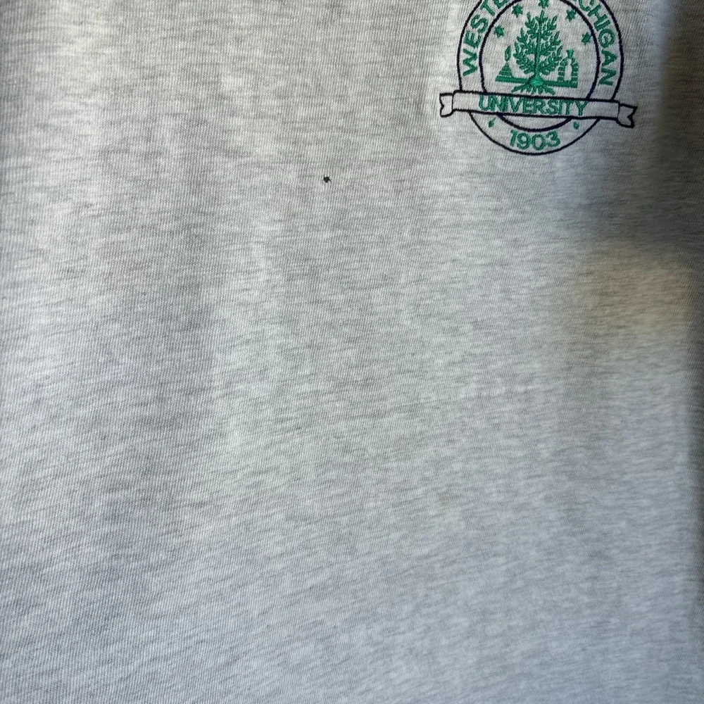Champion Men L Gray Embroidered T Shirt Vintage 90s W Michigan University Crest - Picture 3 of 7
